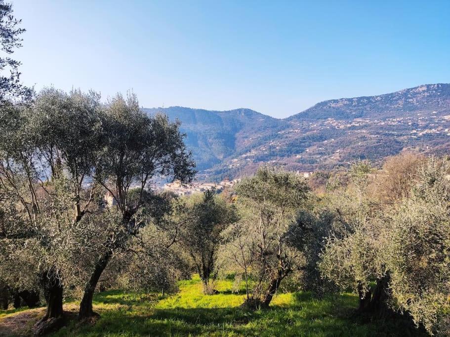 Bas de villa. Côte d'Azur, à 20 kms de Nice Contes (Alpes-Maritimes) Exterior foto